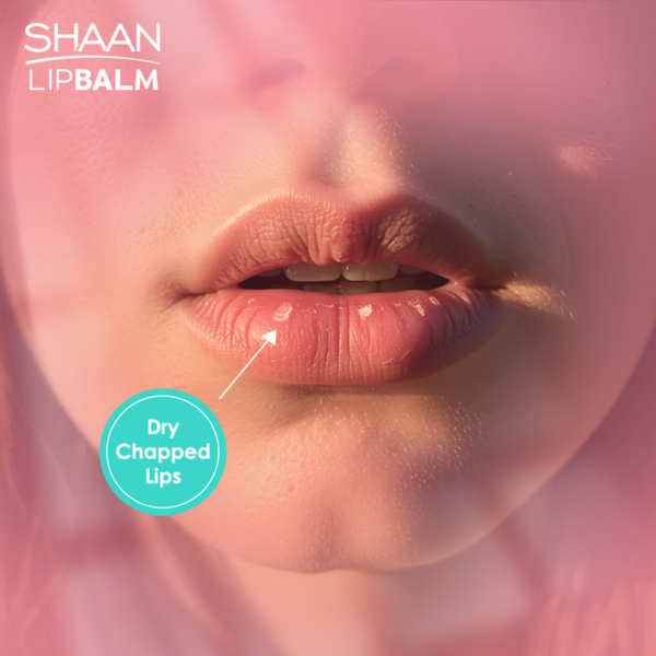 Shaan lip balm cocoa 5 gm - Image 2